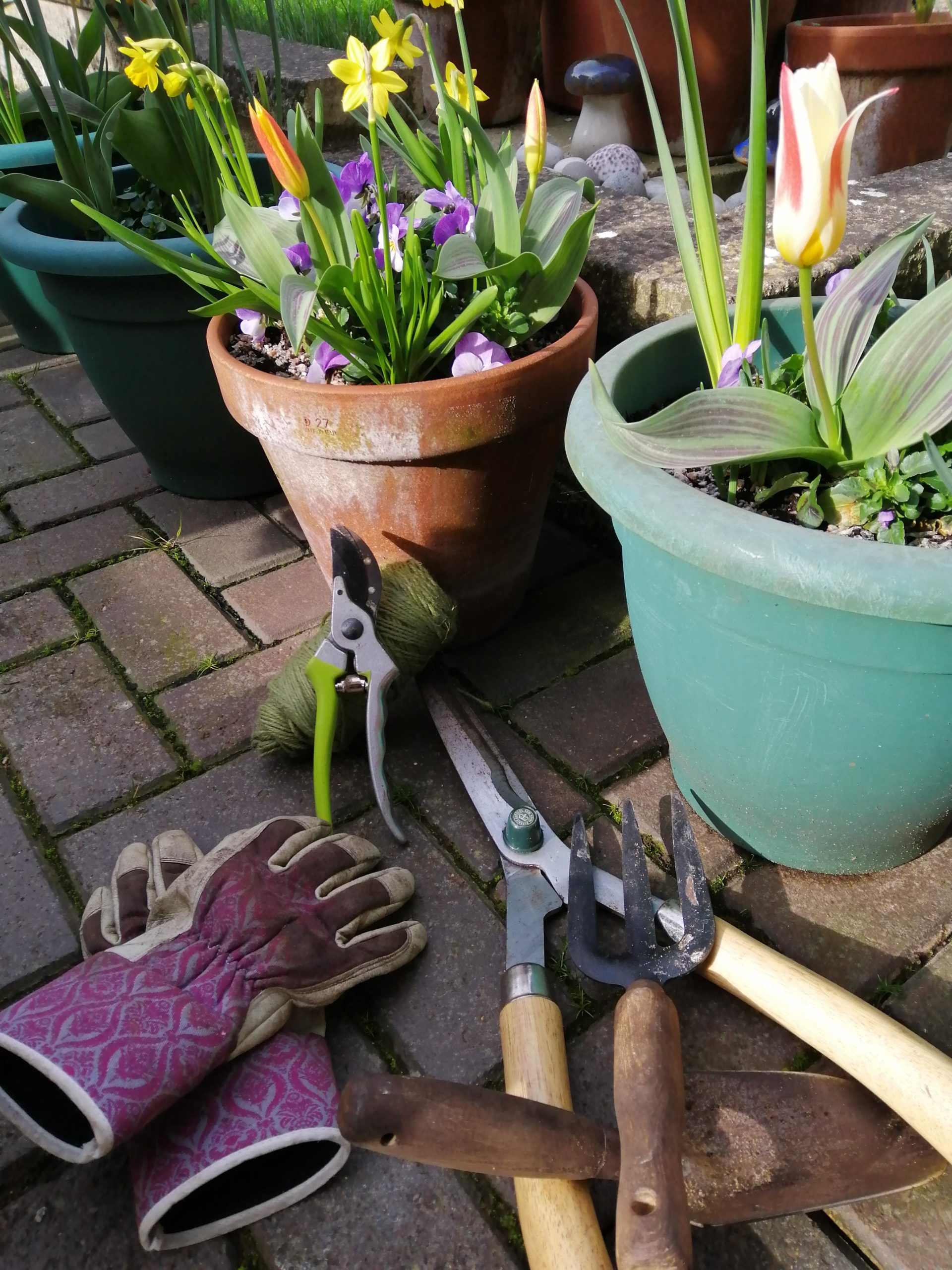 Elbow/forearm pain from gardening?? Bury Physio